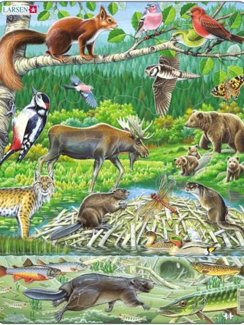 Produit Puzzle Cadre - Les Animaux de la Forêt Nordique Image
