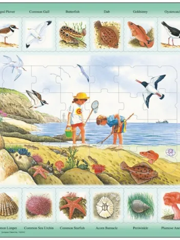 Produit Puzzle Cadre - Apprendre l'Anglais : Au Bord de Mer (en Anglais) Image