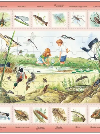 Produit Puzzle Cadre - Animaux de l'Étang (en Russe) Image