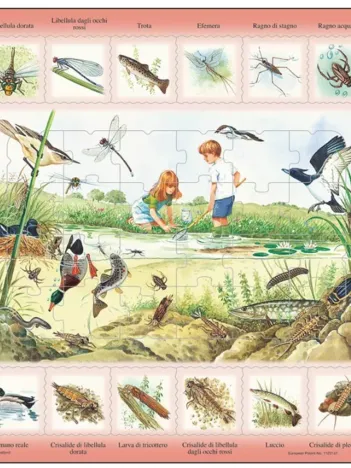 Produit Puzzle Cadre - Animaux du Lac (en Italien) Image