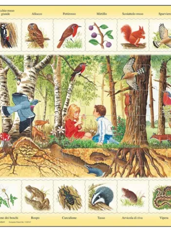 Produit Puzzle Cadre - La Forêt (en Italien) Image