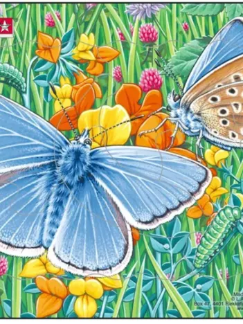 Produit Puzzle Cadre - Papillon Image