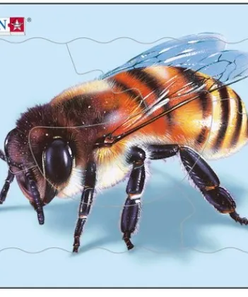 Produit Puzzle Cadre - Abeille Image
