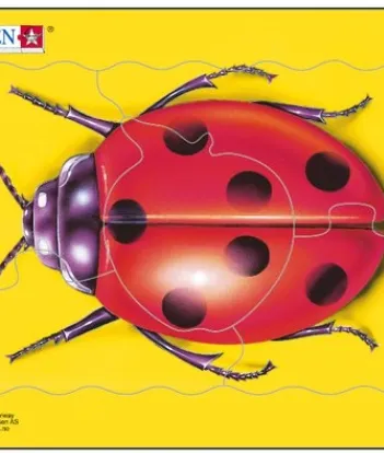 Produit Puzzle Cadre - Coccinelle Image