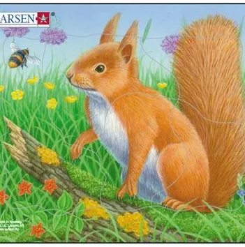 Produit Puzzle Cadre - Ecureuil Image
