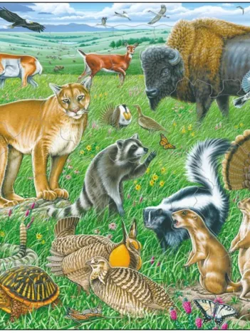 Produit Puzzle Cadre - Prairie Américaine Image