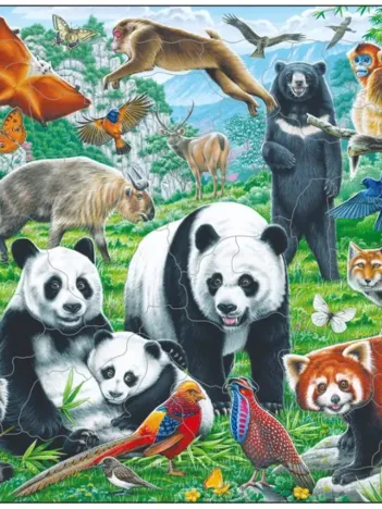 Produit Puzzle Cadre - Panda Bear Family on a China Mountain Plateau Image