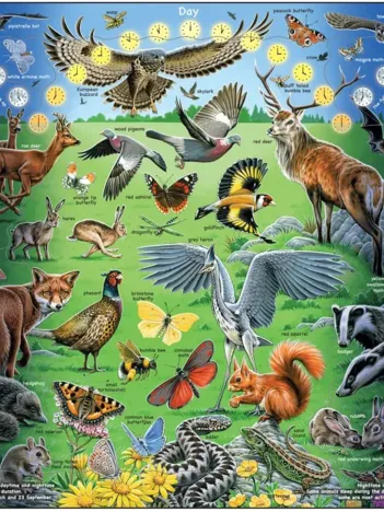 Produit Puzzle Cadre - Nuit et jour (en anglais) Image