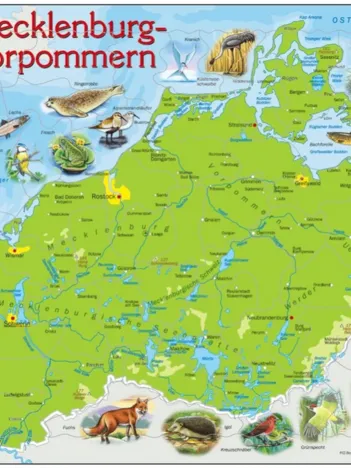 Produit Puzzle Cadre - Mecklenburg-Vorpommern (en Allemand) Image