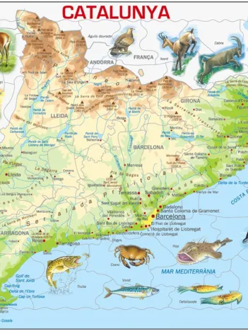 Produit Puzzle Cadre - Carte de la Catalogne et ses Animaux (en Catalan) Image