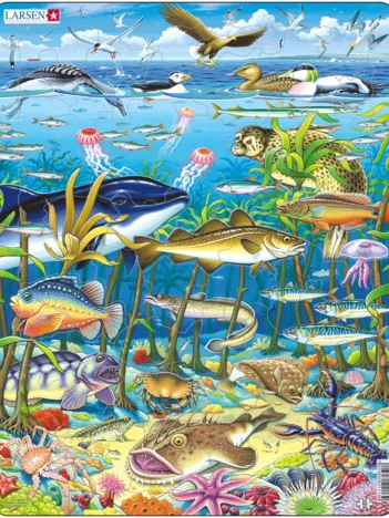 Produit Puzzle Cadre - Les Animaux Marins Image