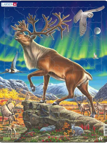 Produit Puzzle Cadre - Le Renne Image