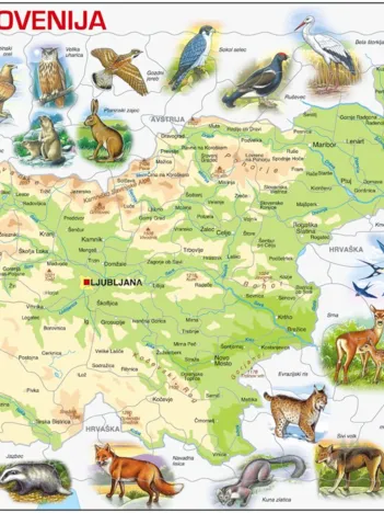 Produit Puzzle Cadre - Carte de la Slovénie (en Slovène) Image