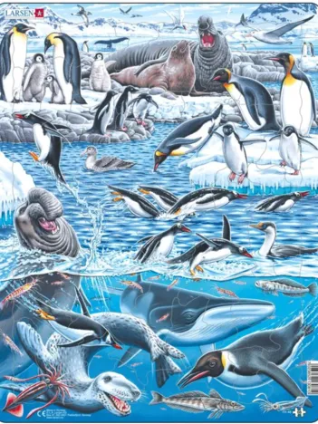 Produit Puzzle Cadre - The Cold and Beautiful Antarctica Image