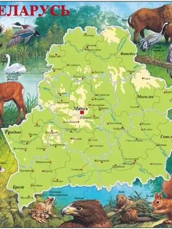 Produit Puzzle Cadre - Carte de la Biélorussie (en Russe) Image