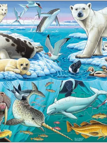 Produit Puzzle Cadre - Les Animaux de la Banquise Image