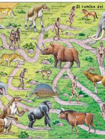 Produit Puzzle Cadre - El Camino del Simio al Humano (en Espagnol) Image