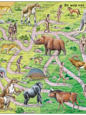 Produit Puzzle Cadre - De Weg van Aab naar Mens (en Hollandais) Image