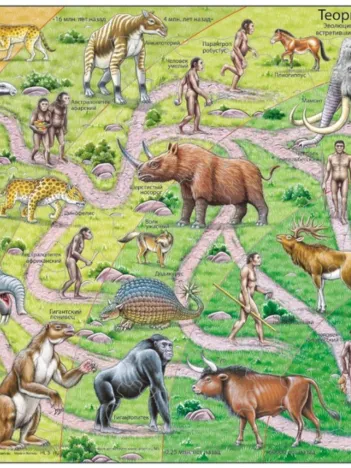Produit Puzzle Cadre - L'Evolution Humaine (en Russe) Image