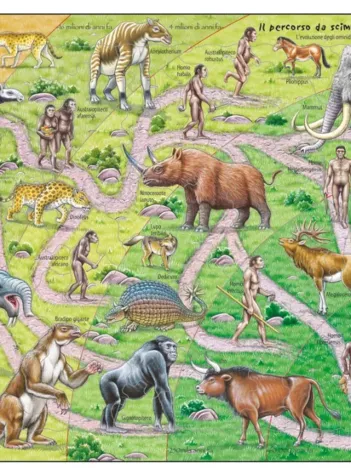 Produit Puzzle Cadre - Il percorso da scimmia ad essere umano Image