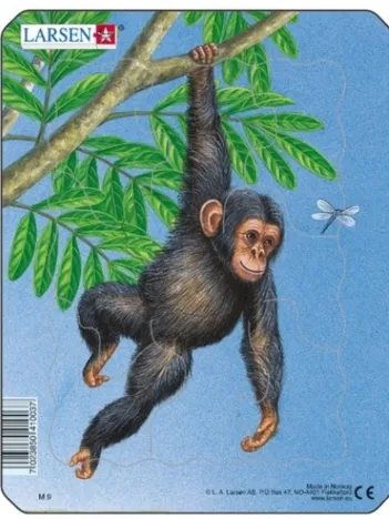 Produit Puzzle Cadre - Petit Singe Image