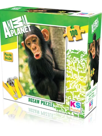 Produit Baby Chimp Image