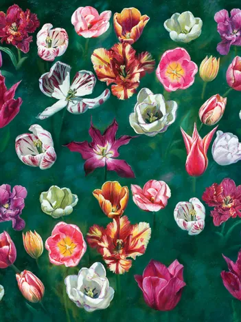 Produit Tulip Garden Image