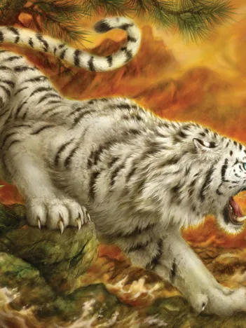 Produit White Tiger Image