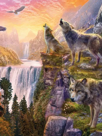 Produit Wilderness Image