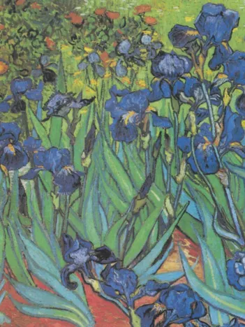 Produit Vincent Van Gogh - Saint-Remy - Les Iris, 1889 Image