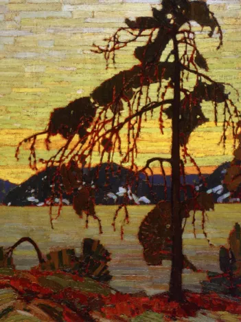 Produit Tom Thomson : Le Pin Gris, 1916 Image