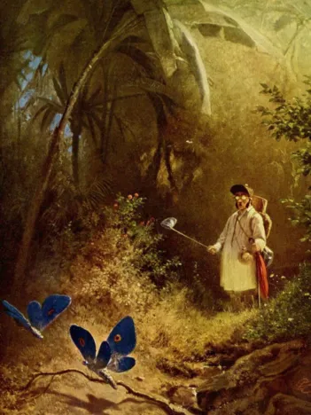 Produit Carl Spitzweg : Le Chasseur de Papillons, 1840 Image