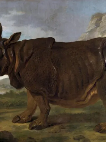 Produit Jean-Baptiste Oudry : Clara le Rhinocéros, 1749 Image