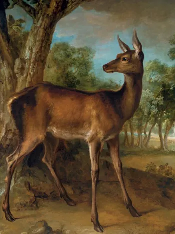 Produit Jean-Baptiste Oudry : Biche aux Augets, 1729 Image