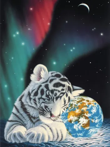 Produit Schim Schimmel - Earth Light Image