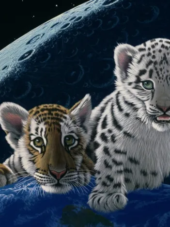 Produit Schim Schimmel - Total Eclipse Image