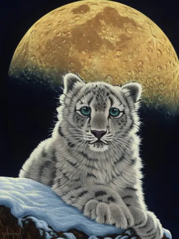 Produit Schim Schimmel - Moon Leopard Image