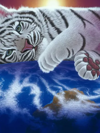 Produit Schim Schimmel - Cuddle Time Image