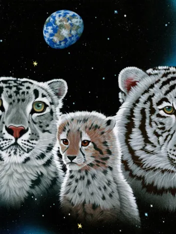 Produit Schim Schimmel - Gentle Family Image