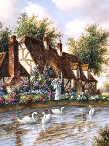 Produit Dennis Lewan - Admiring The Swans Image