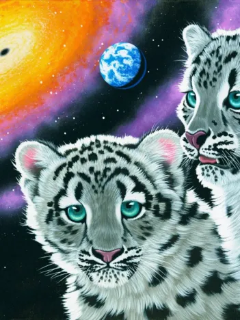 Produit Schim Schimmel - Miracle of the Universe Image