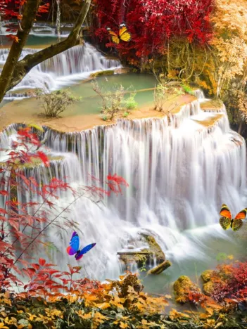 Produit Deep Forest Waterfall Image