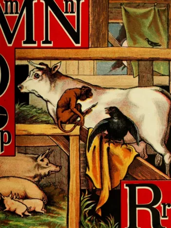 Produit McLoughlin Bros : L'Alphabet de l'Arche de Noé , 1868 - MNR Image