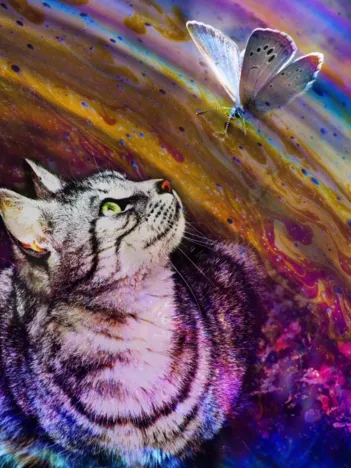 Produit Le Chat et l'Arc-en-Ciel Image