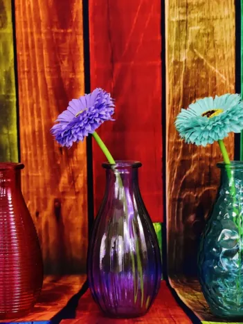 Produit Vases Fleuris et Colorés Image