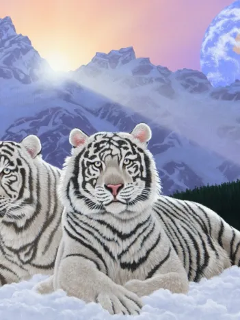 Produit Schim Schimmel - Sharing the Sunrise Image