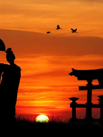 Produit Geisha au Soleil Couchant Image