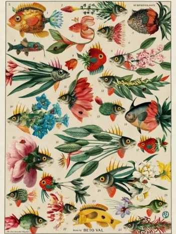 Produit Poissons Image