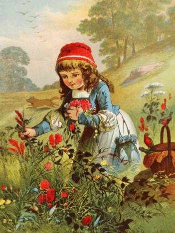 Produit Le Petit Chaperon Rouge, illustration par Carl Offterdinger Image