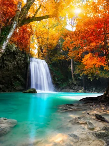 Produit Cascade dans la Forêt Image